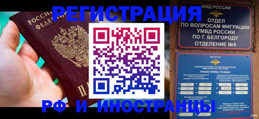 форма 3 в Заинске